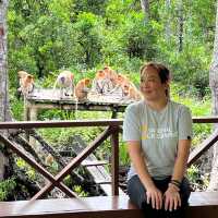 Upclose with the Proboscis Monkeys