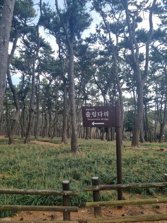 Best thing to do in Ulsan!