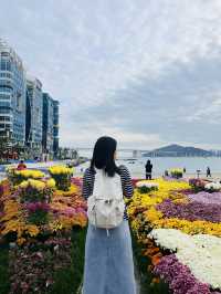 광안리바다는 언제나 옳다