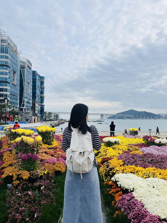 광안리바다는 언제나 옳다
