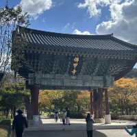 수려한 아름다움이 묻어있는 영광 불갑사 🪷