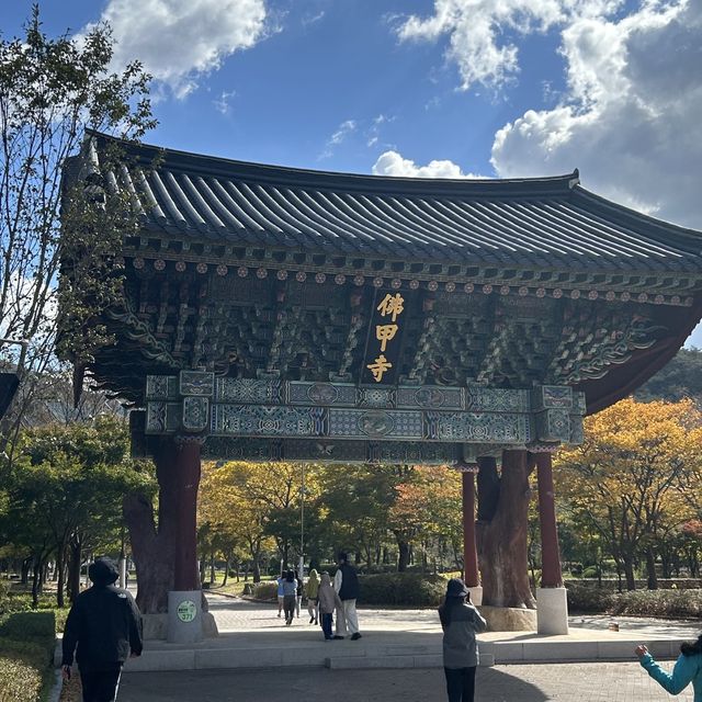 수려한 아름다움이 묻어있는 영광 불갑사 🪷