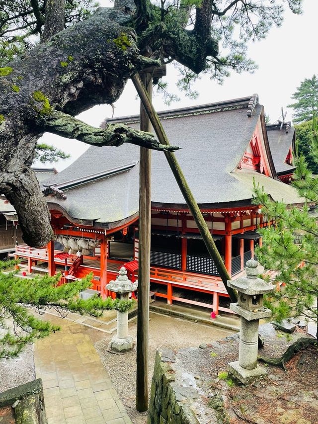 【島根県/日御碕神社】2023年行ってよかった！島根県の神社12