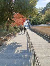 เที่ยววัดทองแห่งเกียวโต Kinkakuji Temple