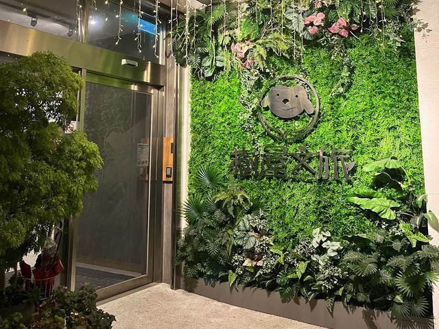 樹屋文旅