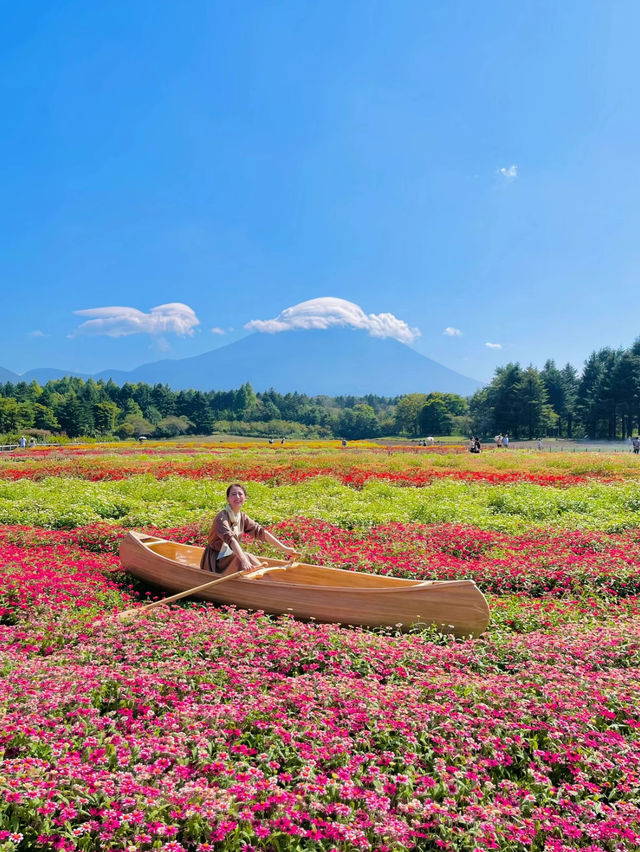 【絶景】まるで絵本の世界📖カラフルな秋の花々がかわいい虹の花まつり2023🌼