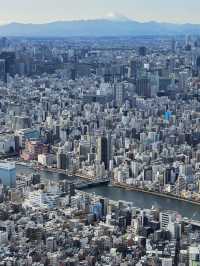 เที่ยว Tokyo Sky Tree ตึกที่สูงที่สุดในญี่ปุ่น