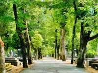 A beautiful cemetery to see.