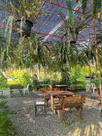 ไร่ทรัพย์ประยูร Cafe สวนเฟิร์น