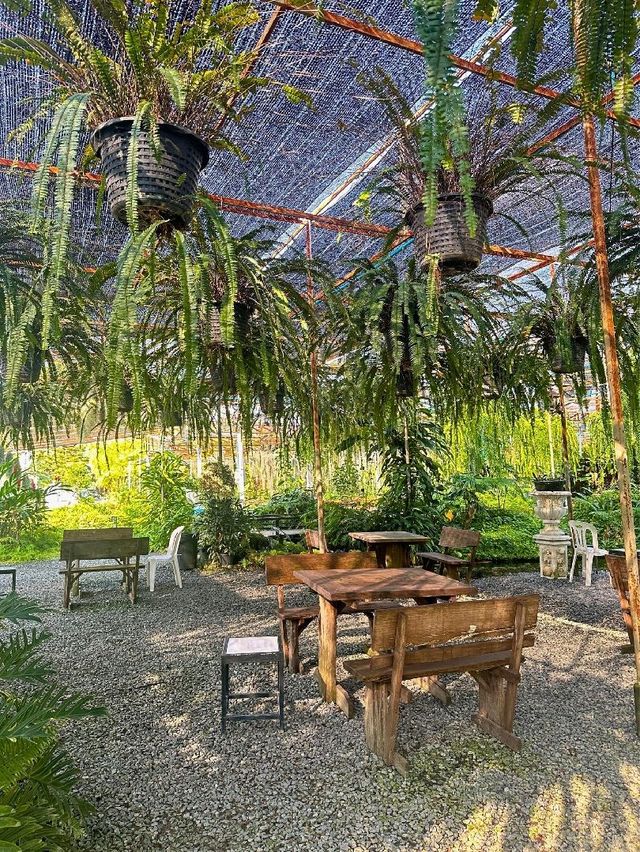 ไร่ทรัพย์ประยูร Cafe สวนเฟิร์น