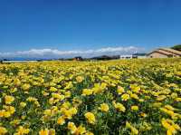 Spring time