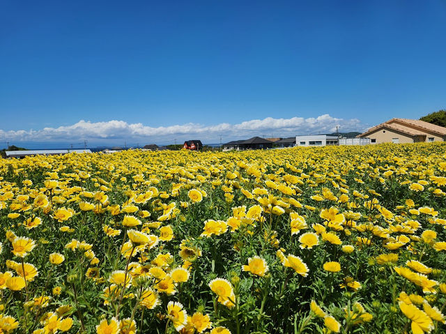 Spring time