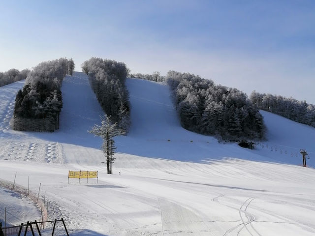 Togakushi Ski Resort 