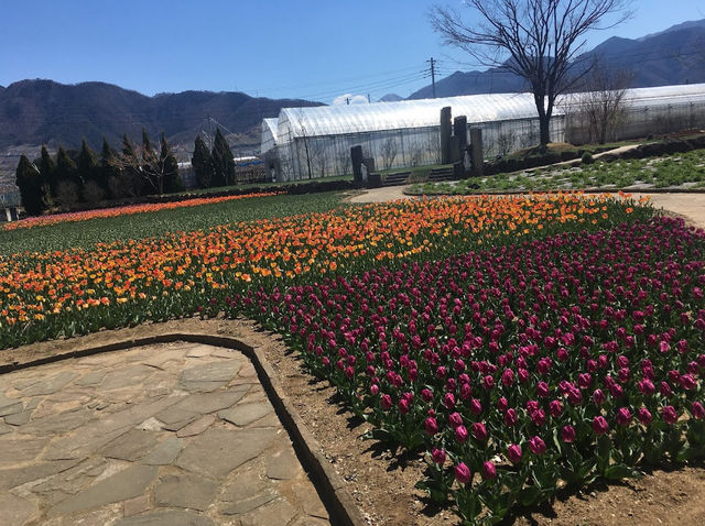 Herb garden travel diary