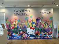 香港好去處 | HELLO KITTY.HAPPY 50 @海港城 (上)