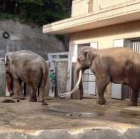 Kanazawa Zoo
