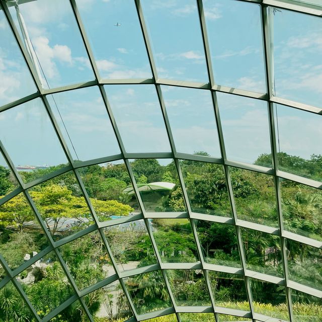 싱가포르의 아름다운 실내 정원, 플라워돔과 클라우드포레스트!