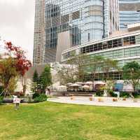 【香港首個木化石公園】佔地7萬平方英呎，適合親子探索科學知識
