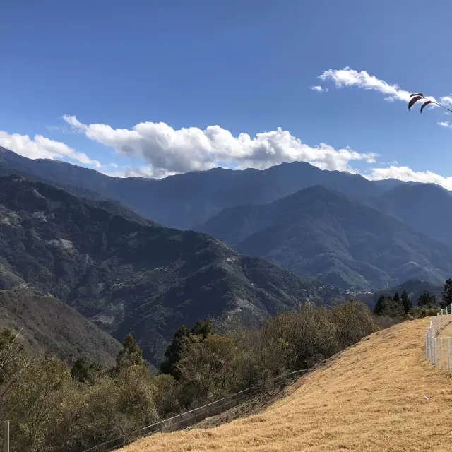 與綿羊共舞🐑｜清境農場青青草原