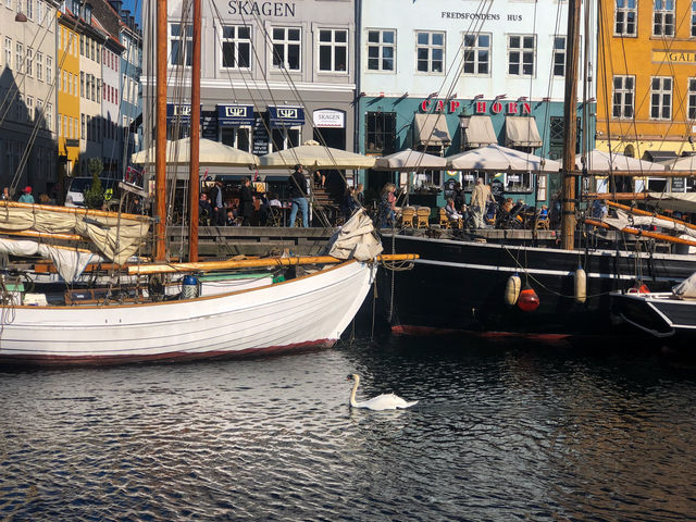  “ท่าเรือนูฮาวน์ Nyhavn” @Copenhagen 🇩🇰