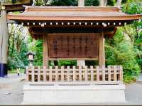 Meiji Jingu Shrine 