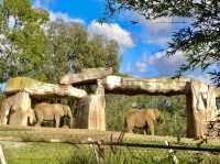 Bronx Zoo