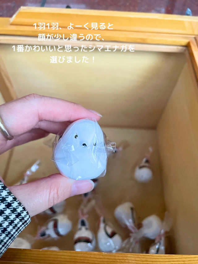 【北海道 帯広】シマエナガの御朱印とおみくじがかわいい⛩️帯廣神社