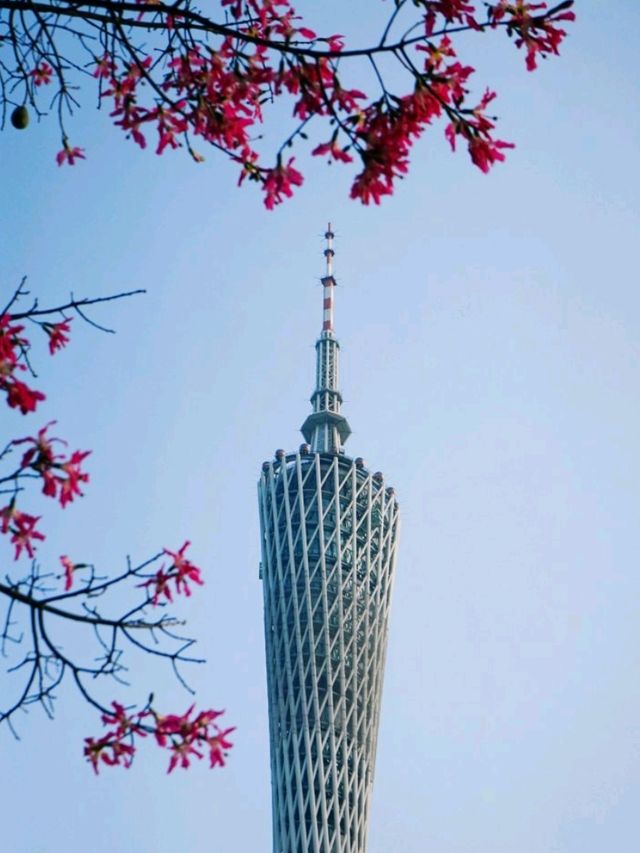 🥰海心沙亞運公園：百花齊放💐夜間噴泉表演⛲️