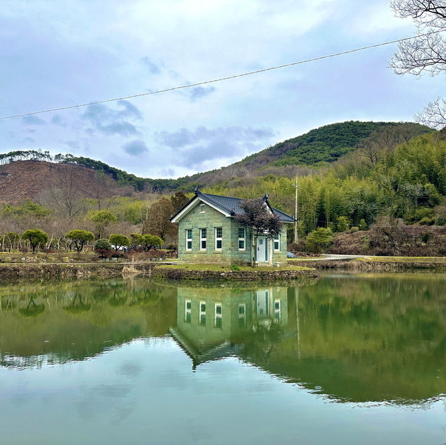 연꽃, 배롱나무, 동백 등을 볼 수 있는 담양의 유적지