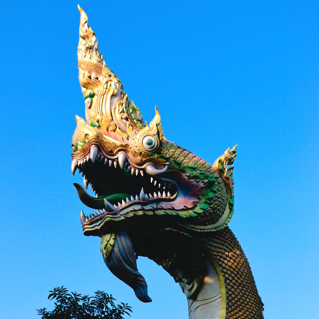 วังพญานาค 4 ตระกูล พุทธอุทยานหลวงปู่สด