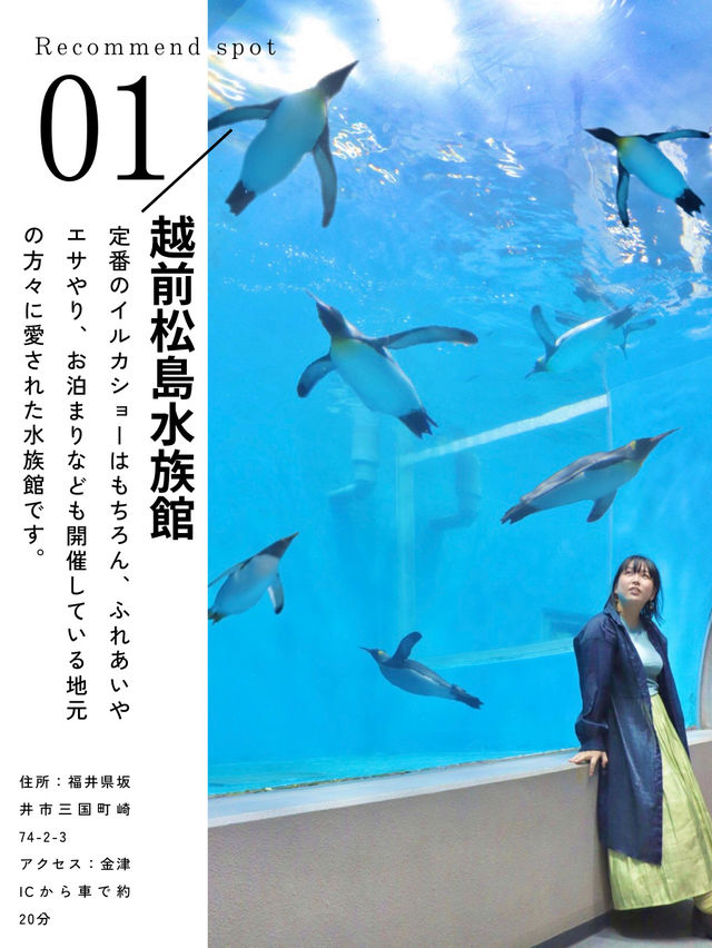 【北陸新幹線⠀開業】福井旅行おすすめスポット5選