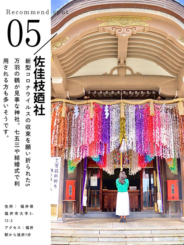 【北陸新幹線⠀開業】福井旅行おすすめスポット5選