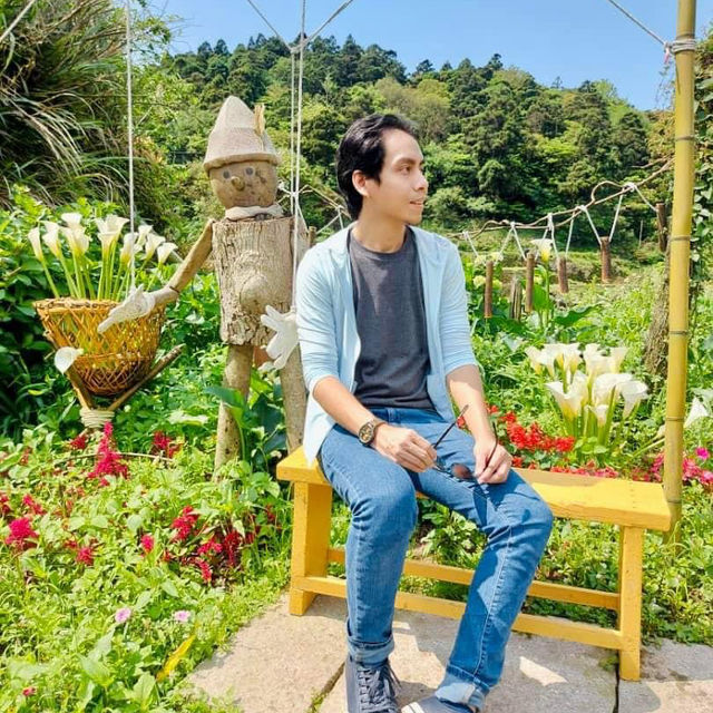 Taipei Trails Await🌳