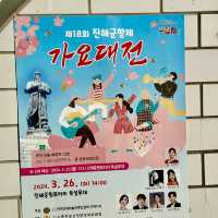 진해군항제 벚꽃명소 여좌천로망스다리 실시간 개화상황