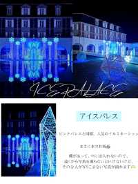 【兵庫県/行かないと後悔する】お城🏰巡り。キラキラ✨💍✨な世界。