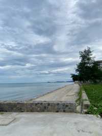 Miss T Cafe & Restaurant