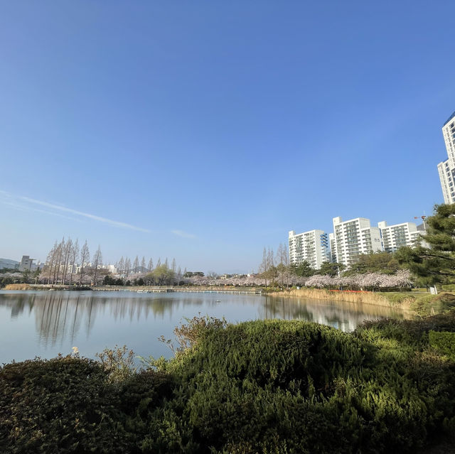 金海　蓮池公園