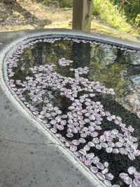 【うきは観光】桜の季節がオススメな山の上の絶景スポット