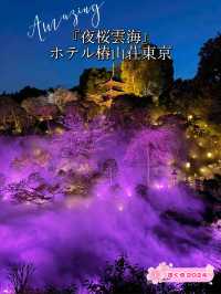 【東京】絶対に行ってほしい✨幻想的な世界