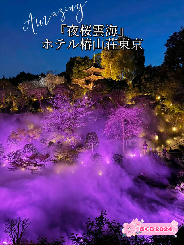 【東京】絶対に行ってほしい✨幻想的な世界