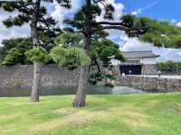 Kokyo Gaien National Garden 