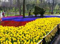 Emirgan Tulip Garden