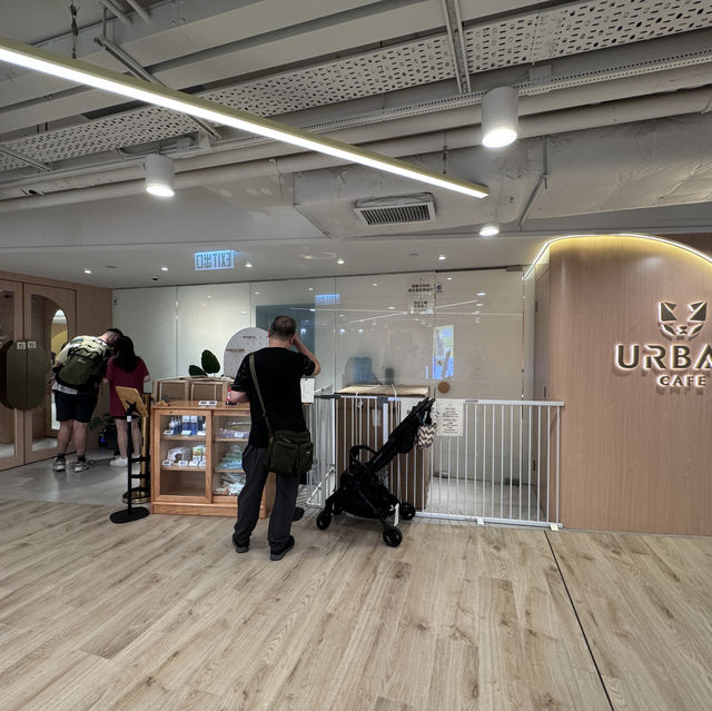 應該係香港最大既貓狗cafe🤩