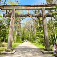 【長野県/戸隠神社奥社】天の岩戸神話に登場する神様を祀る神社