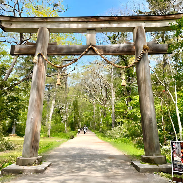 【長野県/戸隠神社奥社】天の岩戸神話に登場する神様を祀る神社