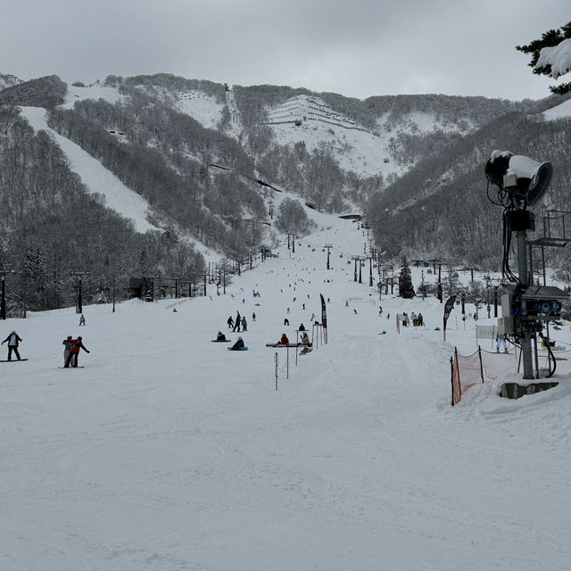 ชมหิมะวิวหลักล้าน ที่ Hakuba ❄️✨