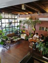 W8 x viangpha cafe
