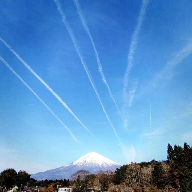 Shiraito water fall /白糸滝