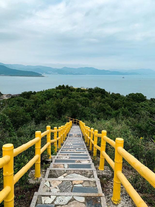 夏日探秘：鴨洲的紫色海蝕洞之旅