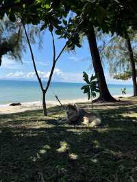 ⛰️เขาล้าน  จ.ตราด🌊